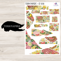 Torn Papers Journaling Stickers - CF 058