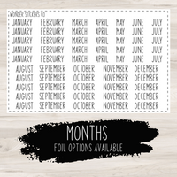 Months of the Year